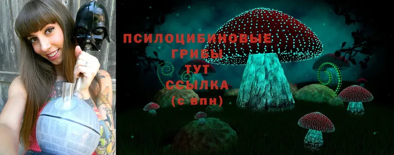 Галлюциногенные грибы Psilocybine cubensis  Верещагино 